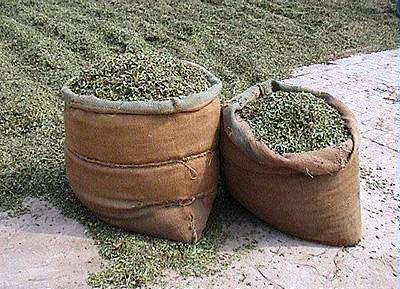 Heena Leaves